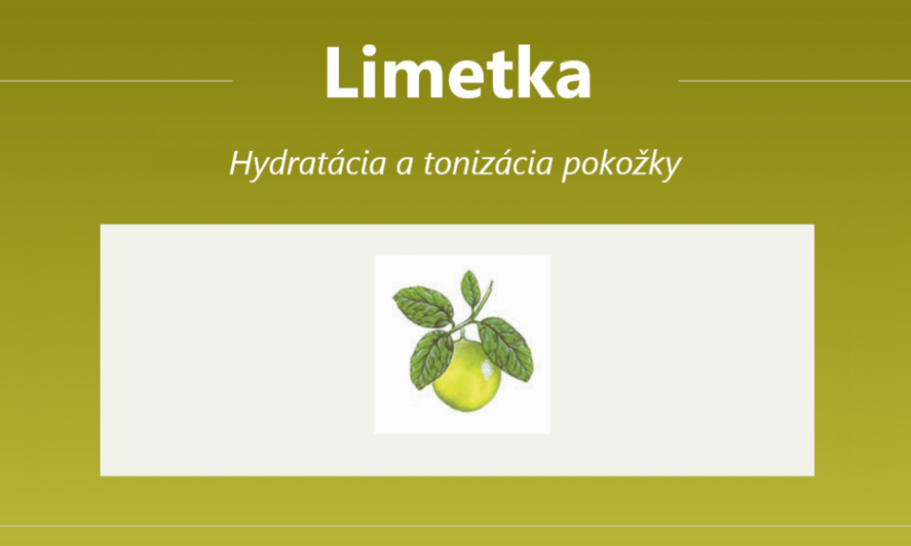 Limetka