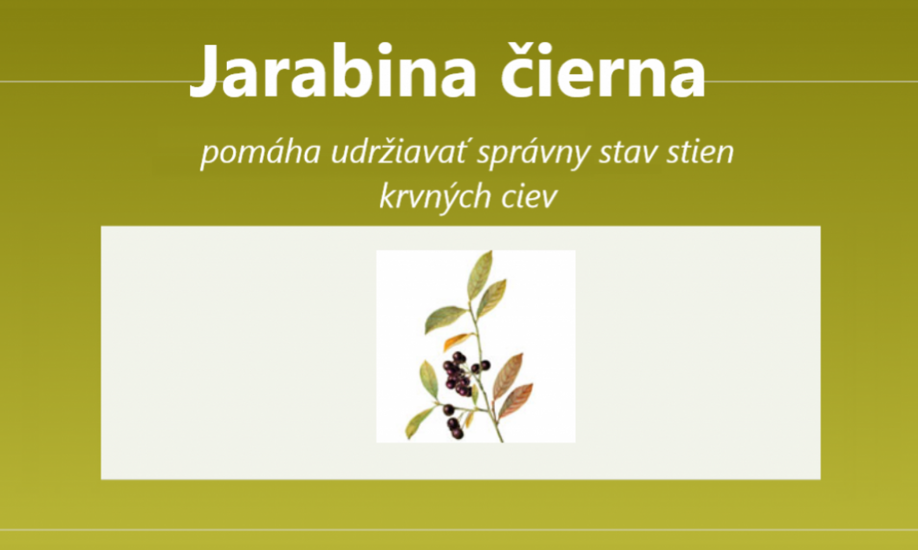 Jarabina čierna