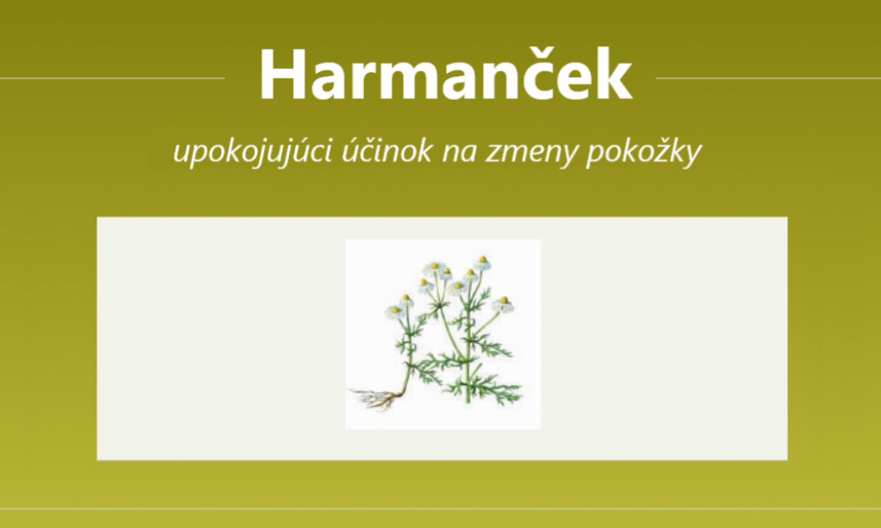 Harmanček