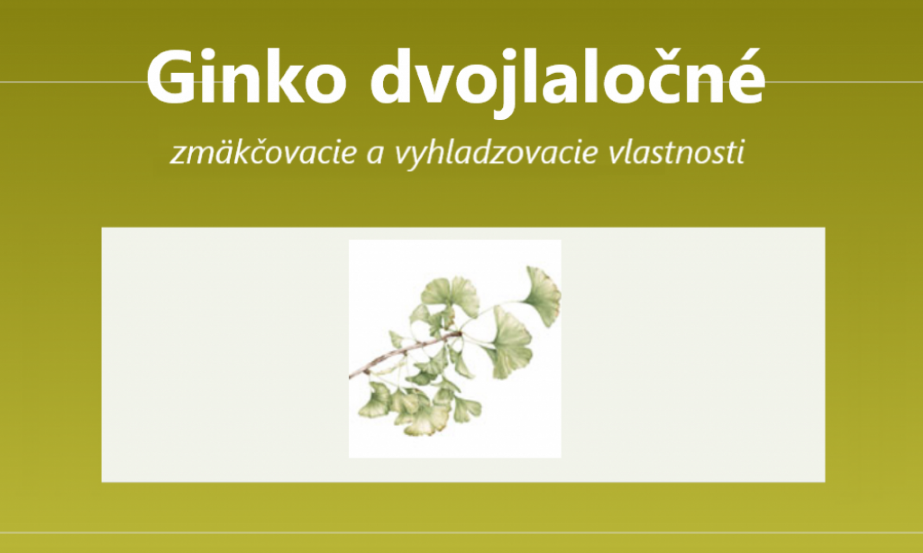 Ginko dvojlaločné